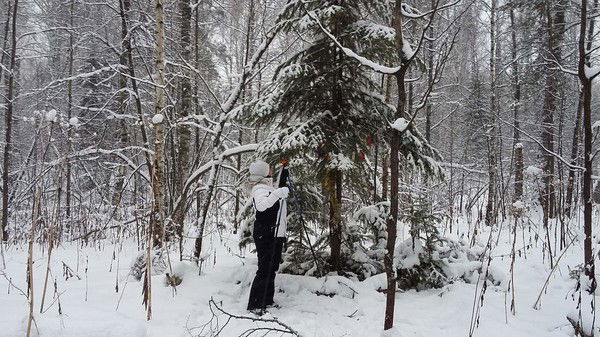 Татьяна Целикова