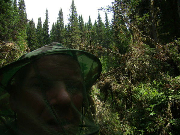 Александр Фоминых