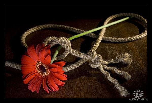 Нарина Мкртумова