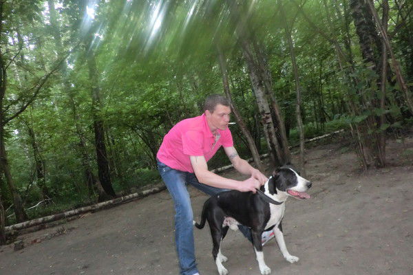 Михаил Минкин