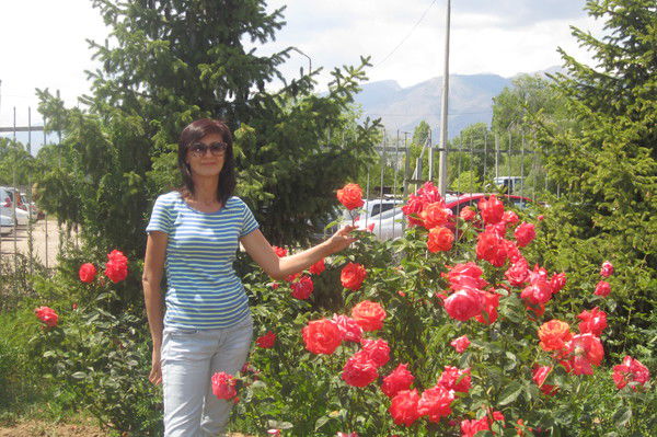 Алима Нарымбетова