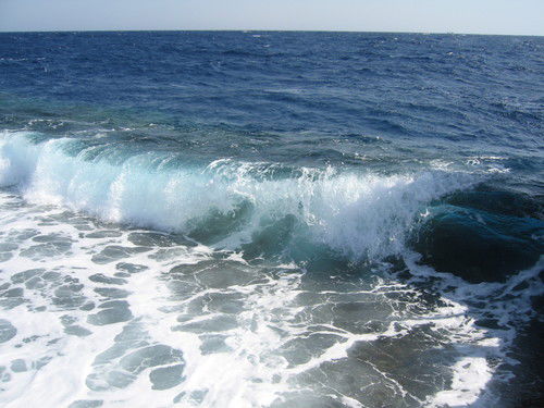 Евгений Алексенко