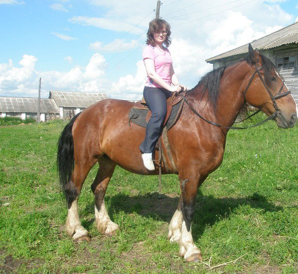 Елена Голубенкова