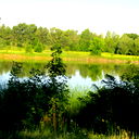 Елена Гольцова