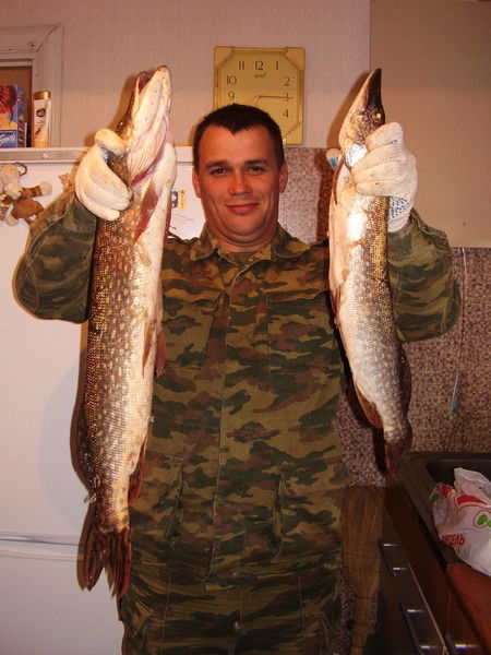 Виталий Заврайский