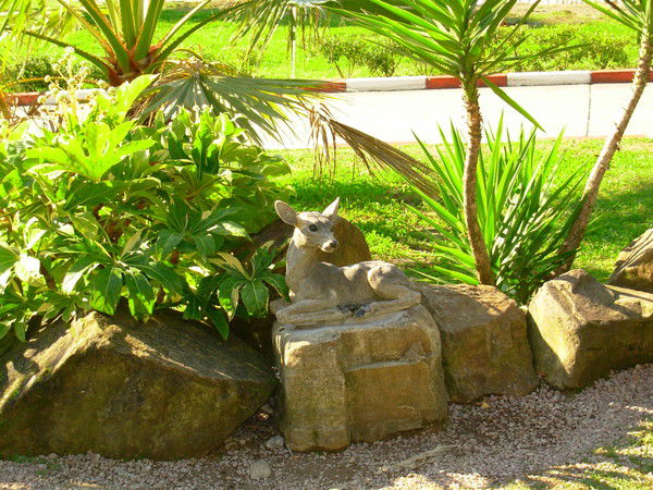 Елена Жарченко