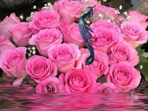 Марина Матвеева