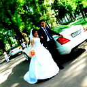 **** *gulam*****