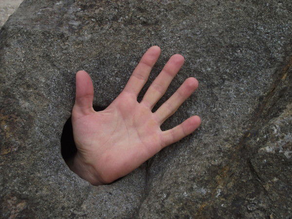 Андрей Рогов