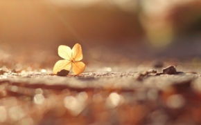 Инна Гладкова