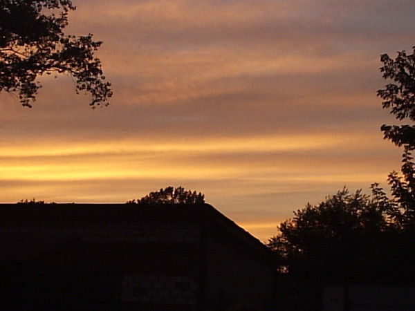 Одна Такая))) *