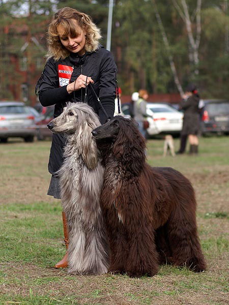 Анастасия Королева