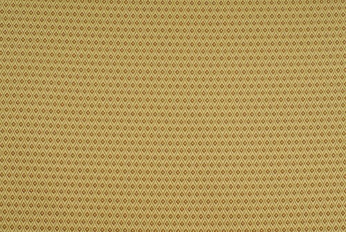 Ирина Бразовская