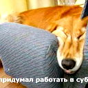 Mikki Bazarkin