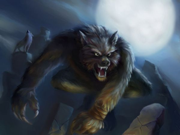 Немец Димон