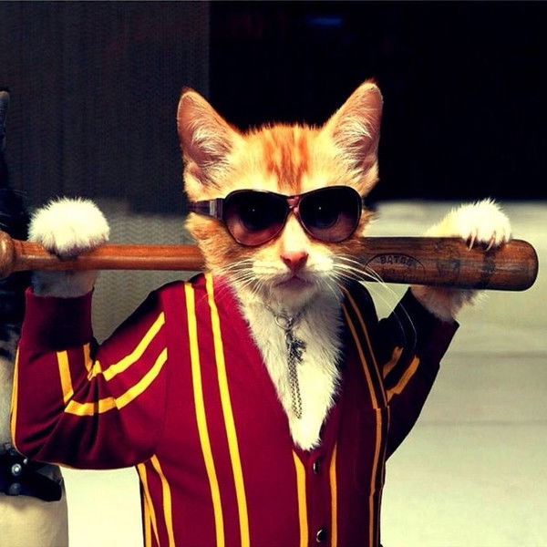 Дмитрий Коток