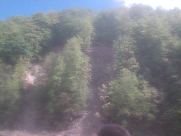 Наташа Микитюк