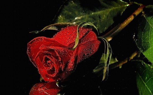 Турсункан Амангелди Кызы