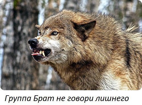 Александр Боков