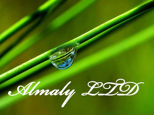 Алматы Светлана Манакбаева