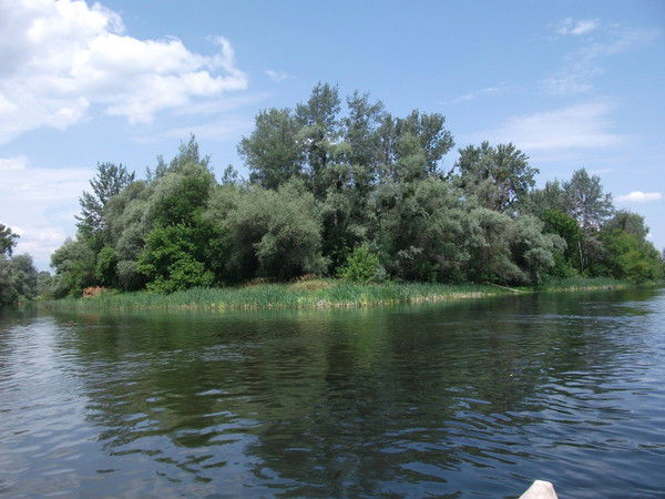 Лена Бинкина