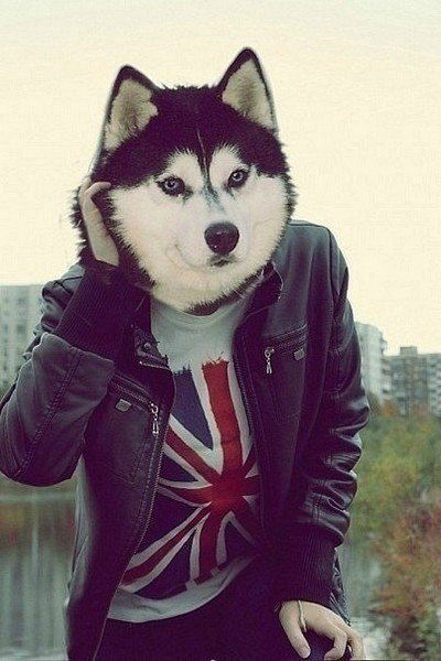 Дима Гаинцев