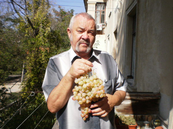 Владимир Дергачев