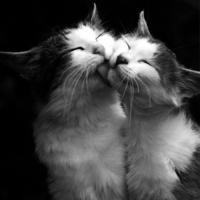 Галина Чо-Бан