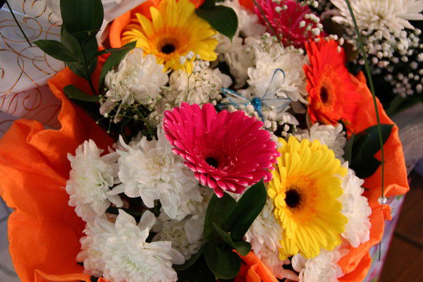 Ирина Ииииии