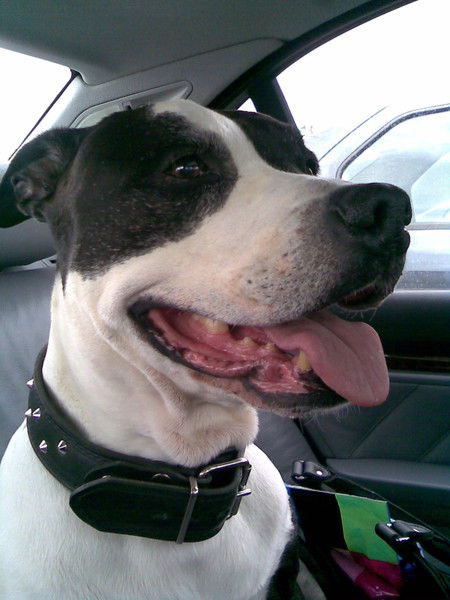 Равиль Узбеков