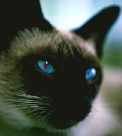 Максим ..........