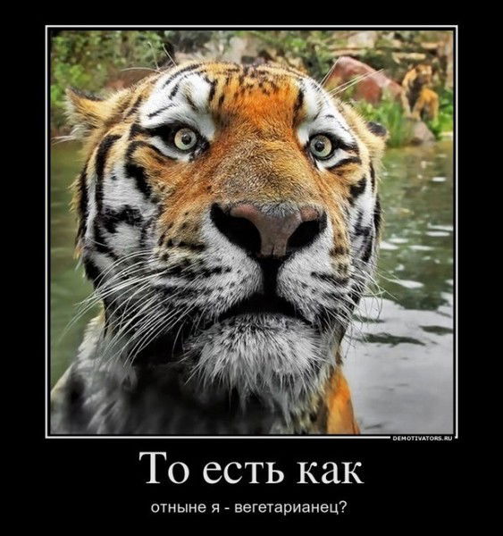 Бексултан Амиркулов