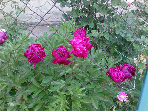 Андрей Сергеев