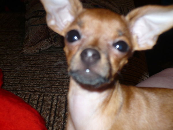 Елизавета Кутина