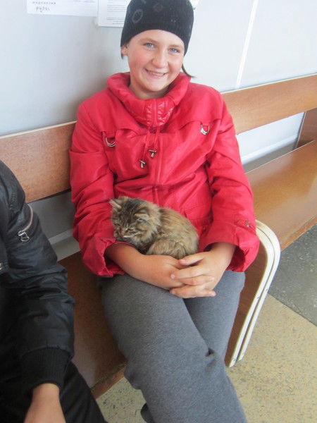 Львенок Лев