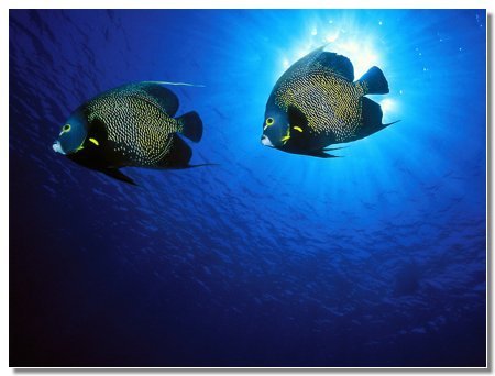 Айгуль Имангалиева