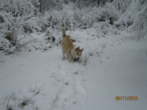 Павел Молюков