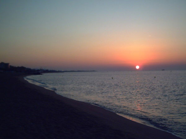 Светлана Фадеева