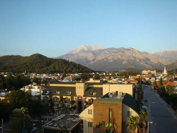 Ольга Королева