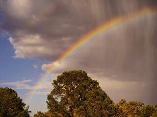 Василий Теркин