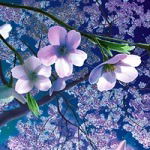 Юлия Жвирко (Огудова)