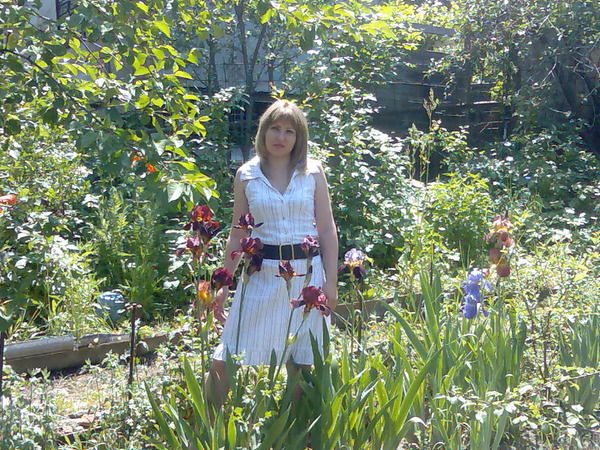 Надежда Василенко