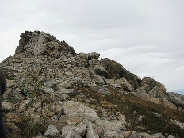 Марина Ахлупина