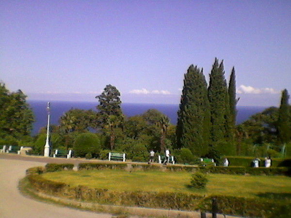 Анна Платонова