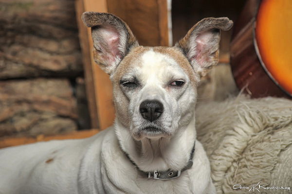 Вадим Восточный