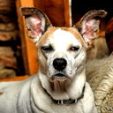 Вадим Восточный