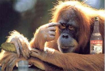 Раченко Ольга