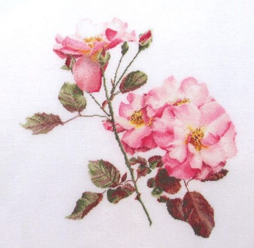 Ольга Кузнецова