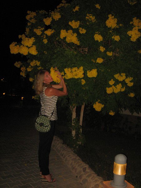 Мулюкова Фарида