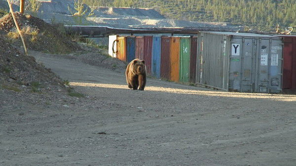 Виталий Михайлов